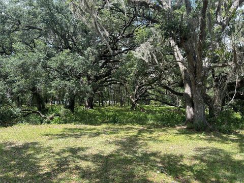 TBD SE 192ND COURT MORRISTON FL 32668