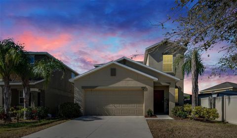 A home in SUN CITY CENTER