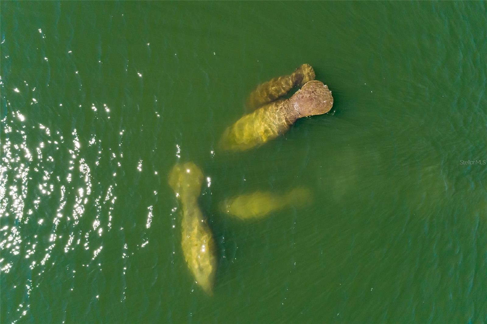 VENETIAN ISLES - Residential