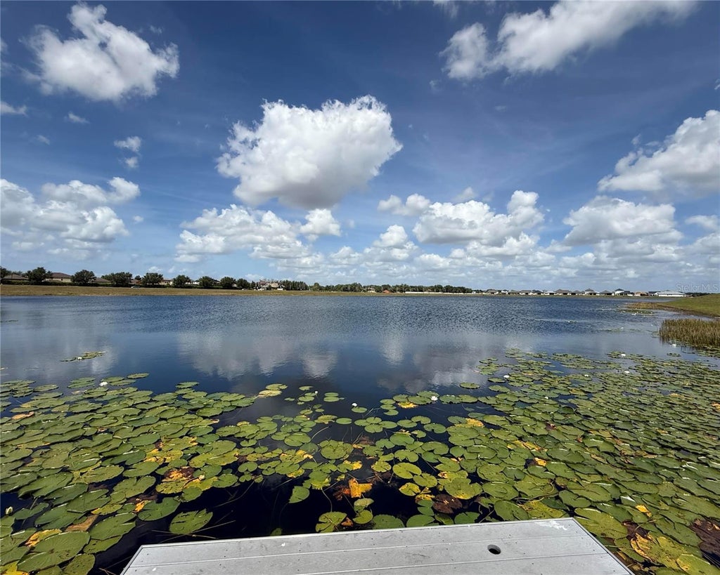 Photo of 11412 Freshwater Ridge Drive, Riverview, FL 33569 (MLS # TB8556169)