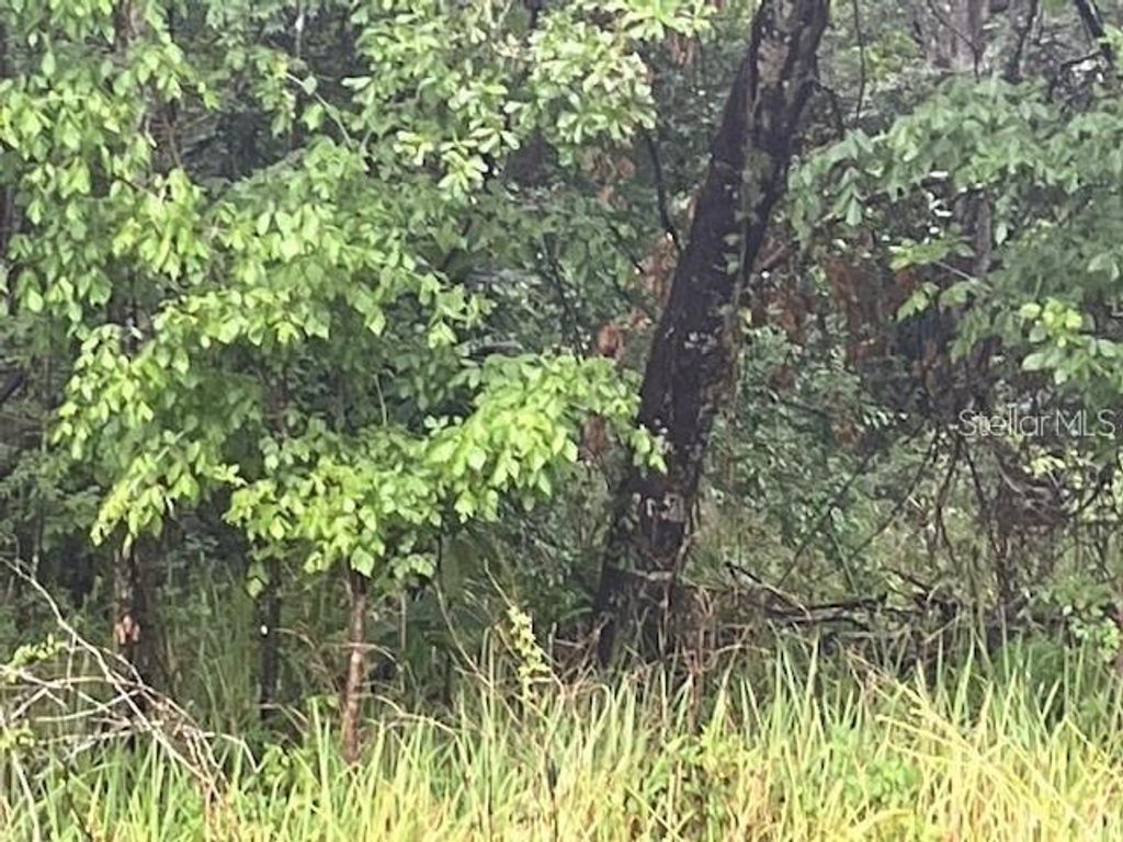 Photo of Sharon Street, Brooksville, FL 34601 (MLS # G5107759)