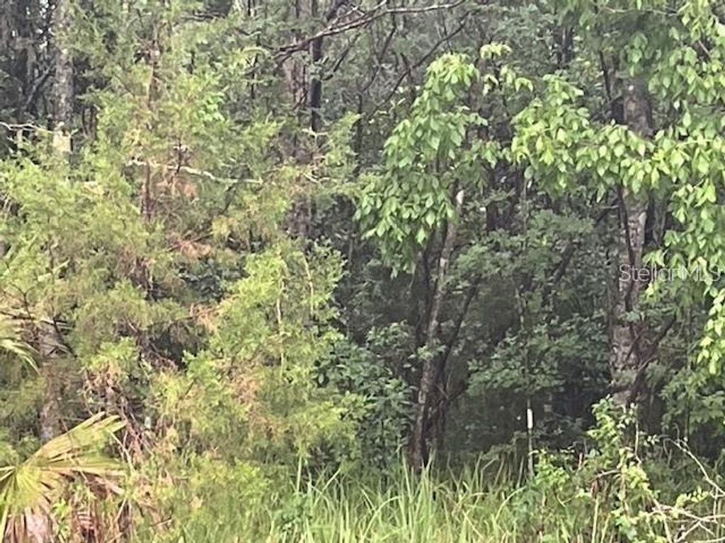 Photo of Sharon Street, Brooksville, FL 34601 (MLS # G5107759)