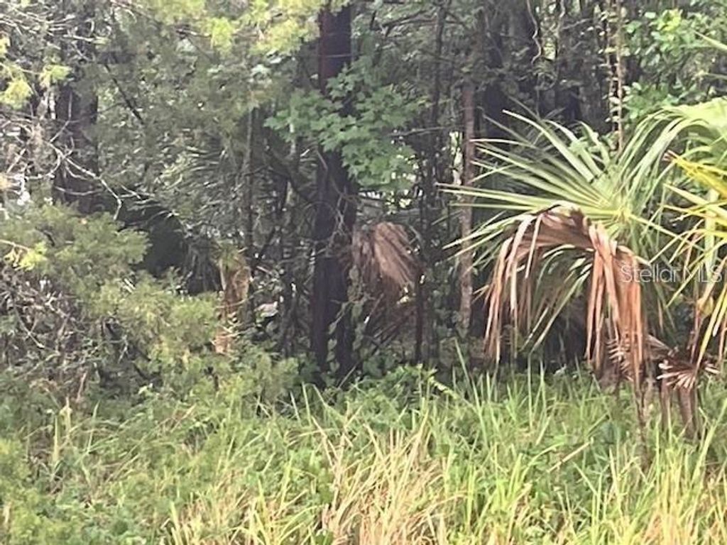 Photo of Sharon Street, Brooksville, FL 34601 (MLS # G5107759)