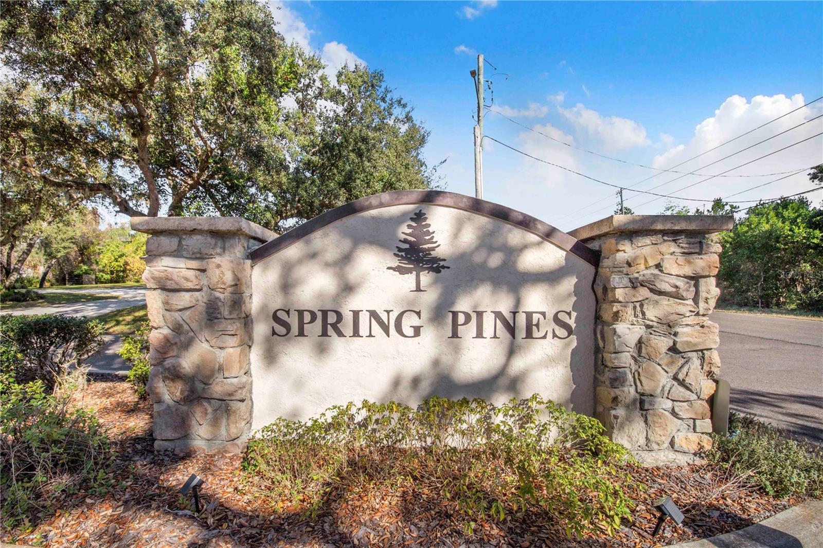 SPRING PINES SUB - Residential