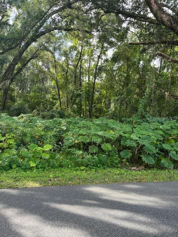 WELCOME CONTRACTORS!! almost 2 1/2 acres off paved road in Webster (Sumter County) 16 houses built 2 blocks from this piece. water & sewer available (please confirm yourself with the city)... Per the county: " this property is in the Urban Res district w/R6C zoning. You can build up to 6 units per acre, Platting will be required to achieve this density".
