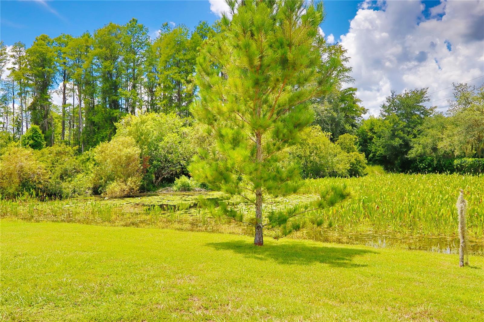 WILDERNESS LAKE PRESERVE - Residential