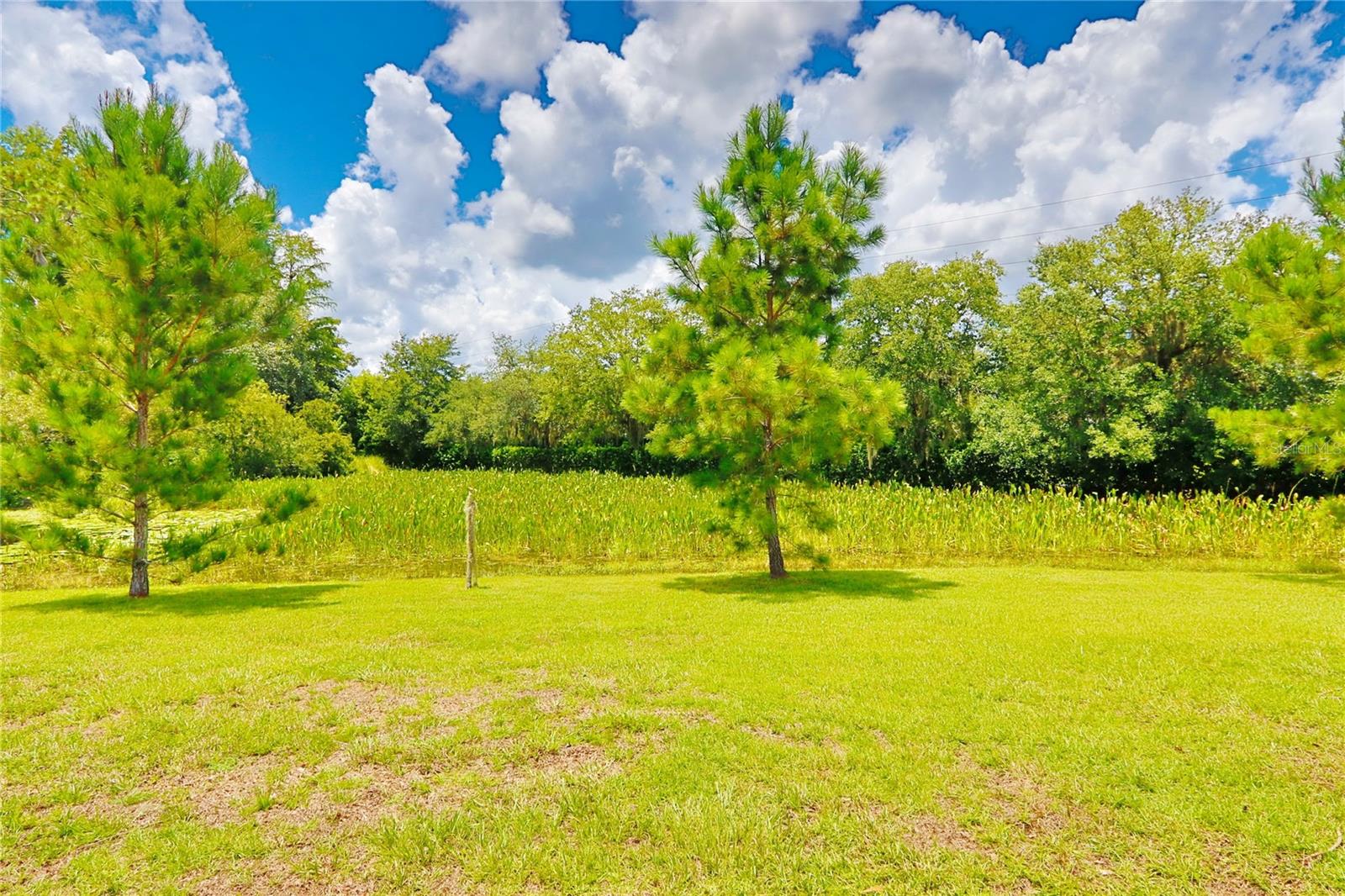 WILDERNESS LAKE PRESERVE - Residential