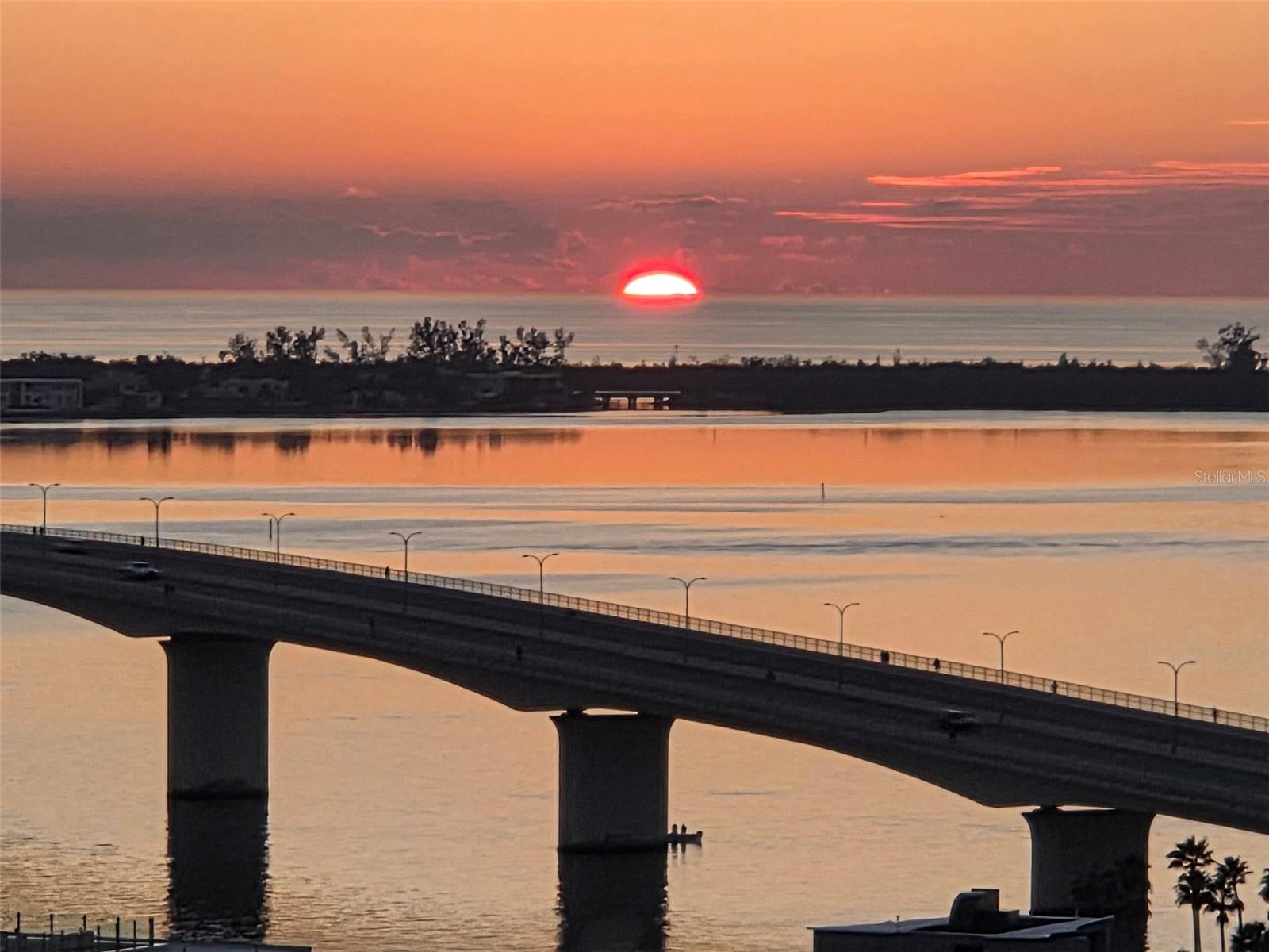 VUE SARASOTA BAY - Residential
