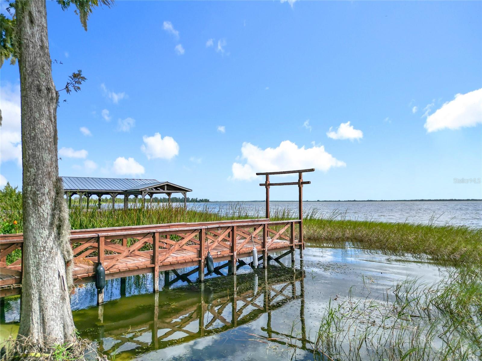 WATERS OF LAKE GRIFFIN - Residential