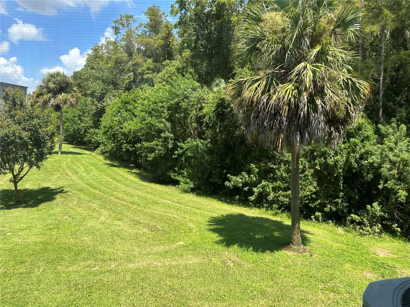 ON TOP OF THE WORLD - Residential