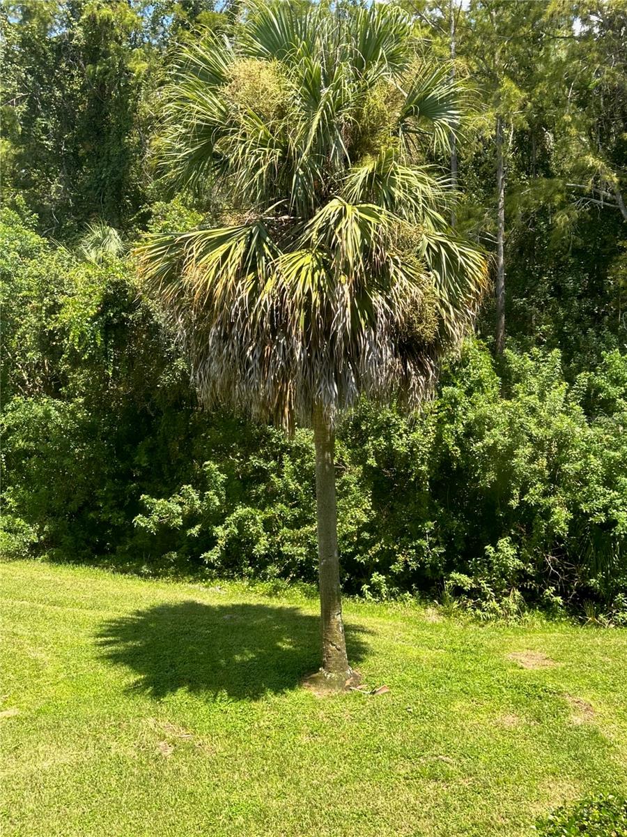 ON TOP OF THE WORLD - Residential