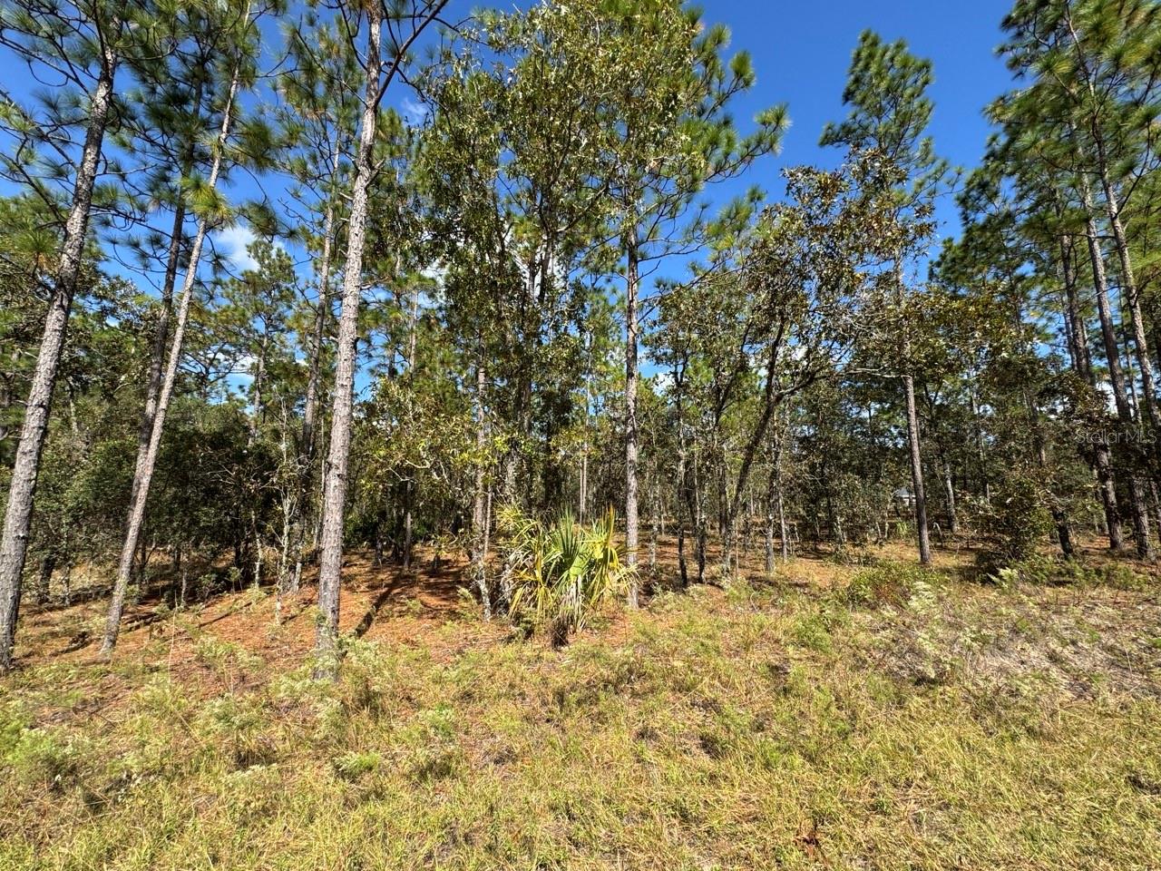 Nice wooded 0.24-acre lot in a homes-only subdivision, not in a flood zone. Located in Dunnellon, just minutes from US-41. Lake access to Tiger Lake & Bonable Lake through community lots. Close to Rainbow Springs State Park and Goethe State Forest & Wildlife Management Area. The adjacent lot is also available for sale, giving the potential to own 0.48 of an acre.