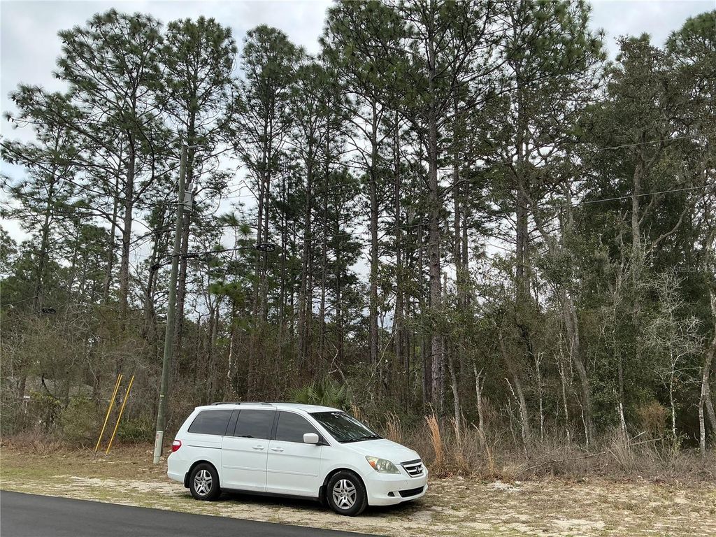 Photo of SW 79th Terrace, Ocala, FL 34473 (MLS # OM721680)