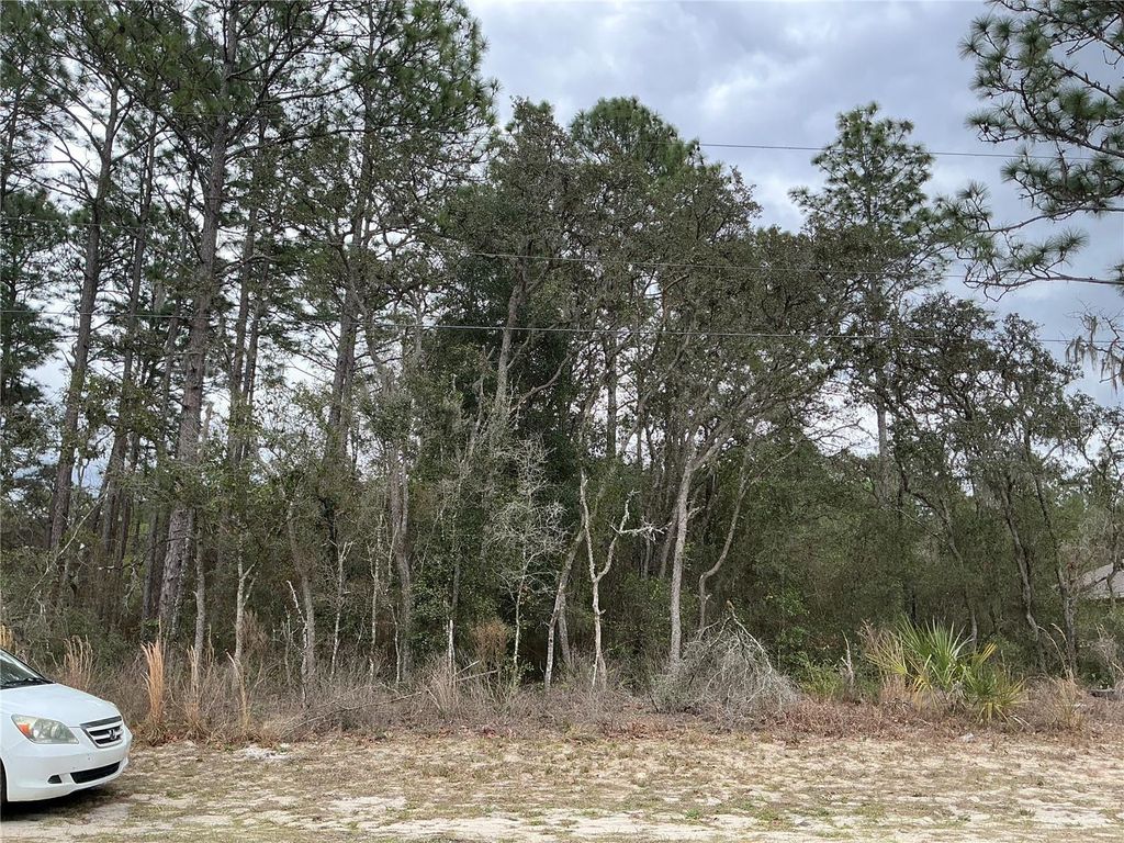 Photo of SW 79th Terrace, Ocala, FL 34473 (MLS # OM721680)