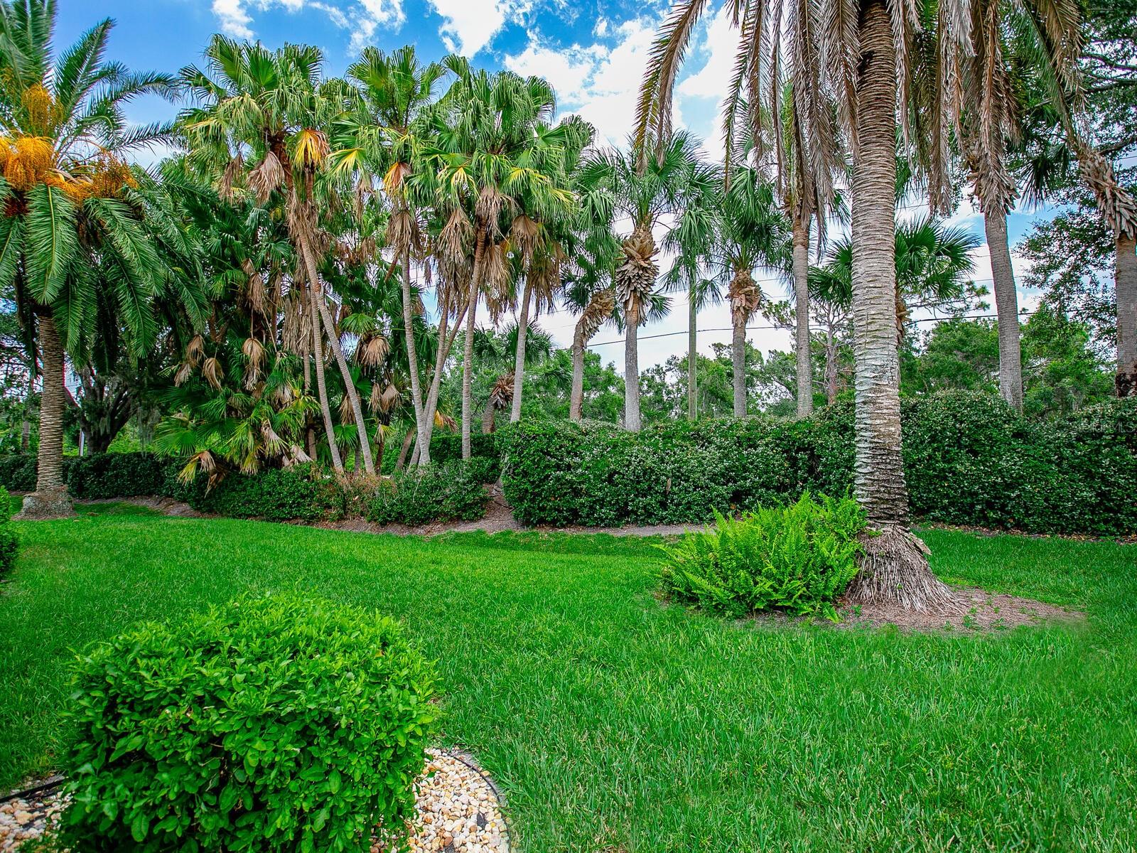 LAKESIDE WOODS - Residential