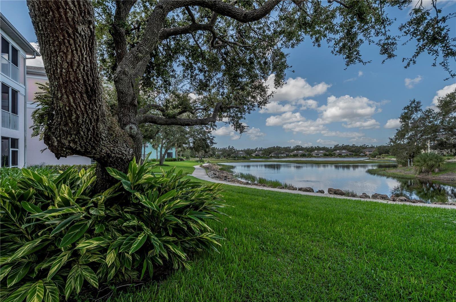 WATERSIDE CLUB III AT HERITAGE OAK PARK - Residential