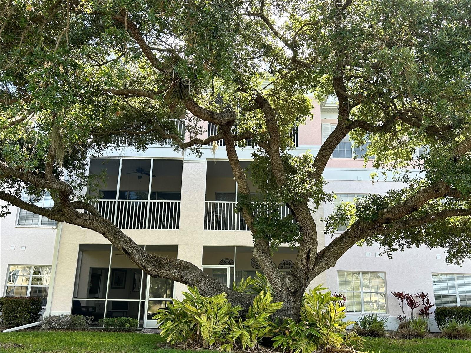 WATERSIDE CLUB III AT HERITAGE OAK PARK - Residential