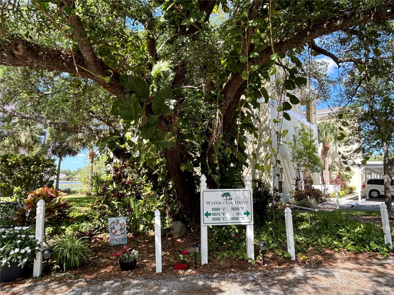 WATERSIDE CLUB III AT HERITAGE OAK PARK - Residential