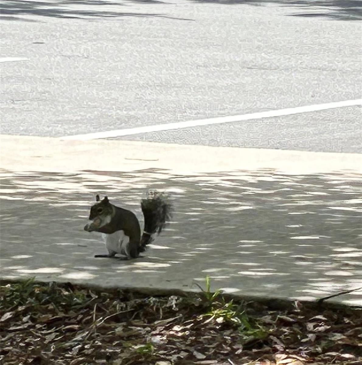 WATERSIDE CLUB III AT HERITAGE OAK PARK - Residential