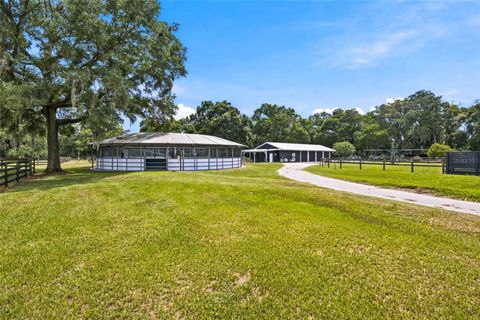 Tiny photo for 3825 NW 160th Street, Reddick, FL 32686 (MLS # OM727879)