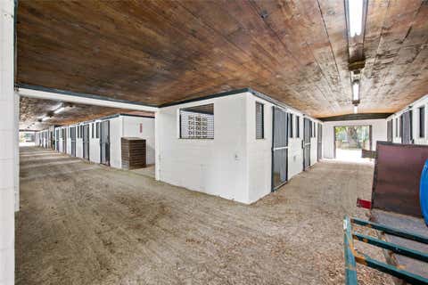 Tiny photo for 3825 NW 160th Street, Reddick, FL 32686 (MLS # OM727879)