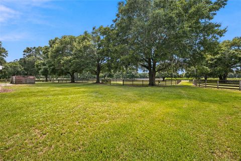 Tiny photo for 3825 NW 160th Street, Reddick, FL 32686 (MLS # OM727879)