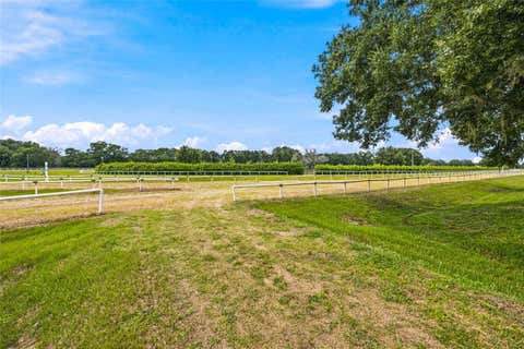Tiny photo for 3825 NW 160th Street, Reddick, FL 32686 (MLS # OM727879)