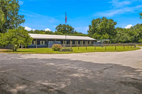 Tiny photo for 3825 NW 160th Street, Reddick, FL 32686 (MLS # OM727879)