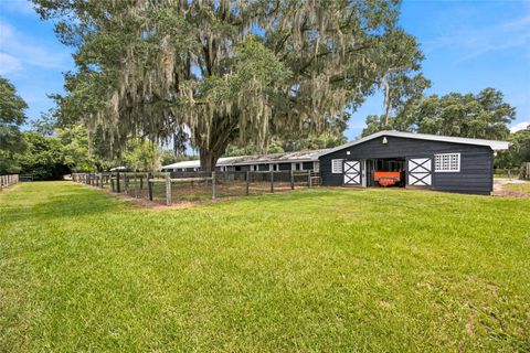 Tiny photo for 3825 NW 160th Street, Reddick, FL 32686 (MLS # OM727879)