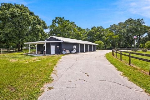 Tiny photo for 3825 NW 160th Street, Reddick, FL 32686 (MLS # OM727879)