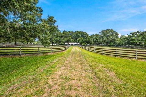 Tiny photo for 3825 NW 160th Street, Reddick, FL 32686 (MLS # OM727879)