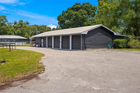 Tiny photo for 3825 NW 160th Street, Reddick, FL 32686 (MLS # OM727879)