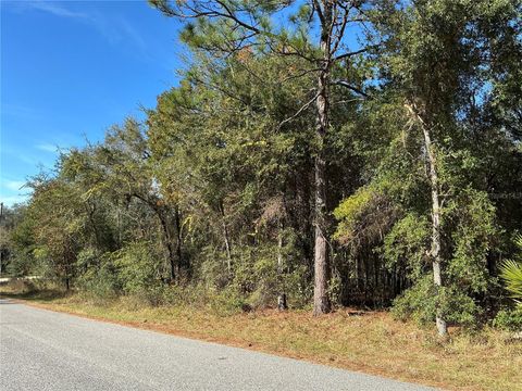 Tiny photo for 2039 E Newhaven Street, Inverness, FL 34453 (MLS # OM718641)
