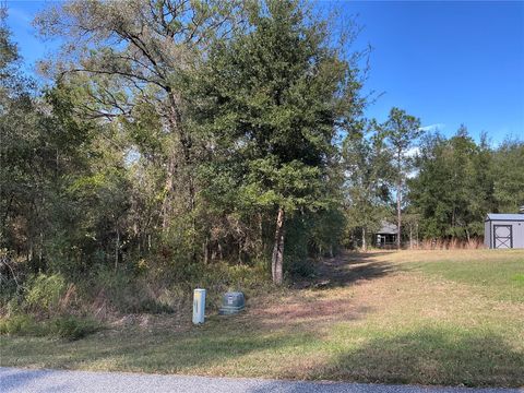 Tiny photo for 2039 E Newhaven Street, Inverness, FL 34453 (MLS # OM718641)