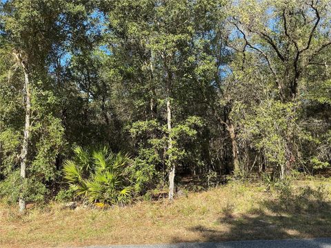 Photo of 2039 E Newhaven Street, Inverness, FL 34453 (MLS # OM718641)