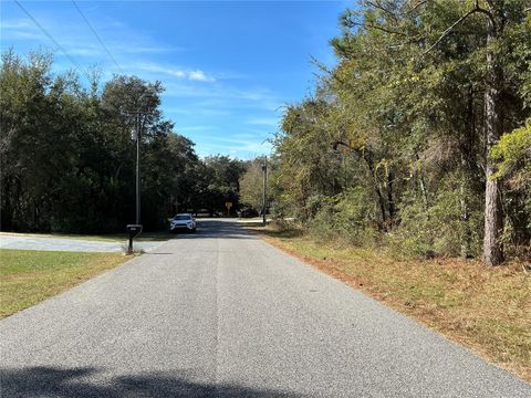 Tiny photo for 2039 E Newhaven Street, Inverness, FL 34453 (MLS # OM718641)