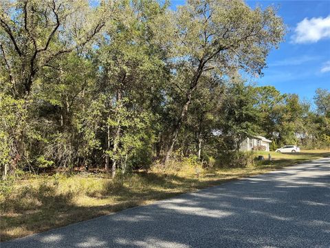Tiny photo for 2039 E Newhaven Street, Inverness, FL 34453 (MLS # OM718641)