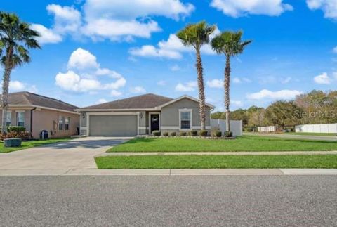 Photo of 10502 Bull Grass Drive, Orlando, FL 32825 (MLS # TB8482312)