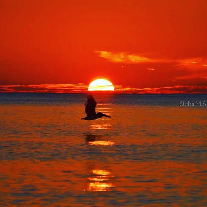 PALM ISLAND ESTATES UNIT 4 - Land