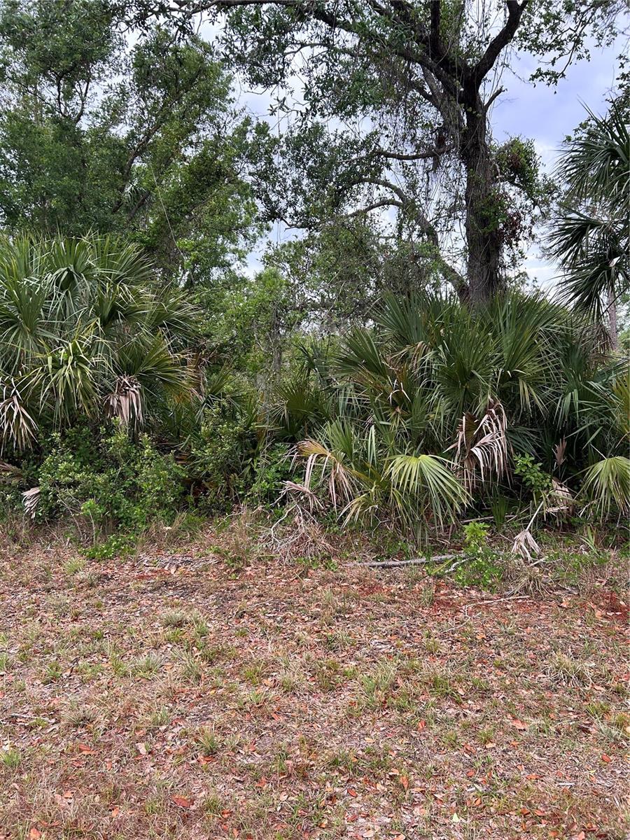 PORT CHARLOTTE SEC 024 - Land