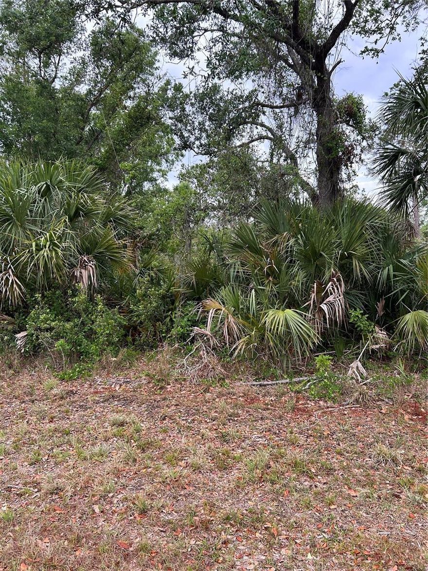 Buildable lot located in desirable residential area located in Charlotte County. This area is slowly being developed with new homes. Jump onto Rte 41 in minutes- head south to North Port for plenty of shopping. Continue heading south to the Port Charlotte and Punta Gorda areas for great dining options. Head northwest to Venice and find yourself at Venice Beach in less than 20 miles! Perfect place for your new build!