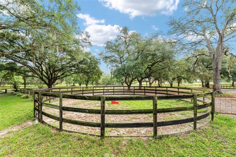 Tiny photo for 10871 SE County Road 336, Morriston, FL 32668 (MLS # OM725937)
