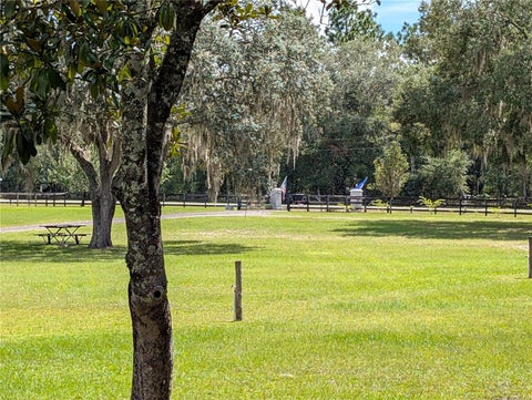 Tiny photo for 10871 SE County Road 326, Morriston, FL 32668 (MLS # OM725937)