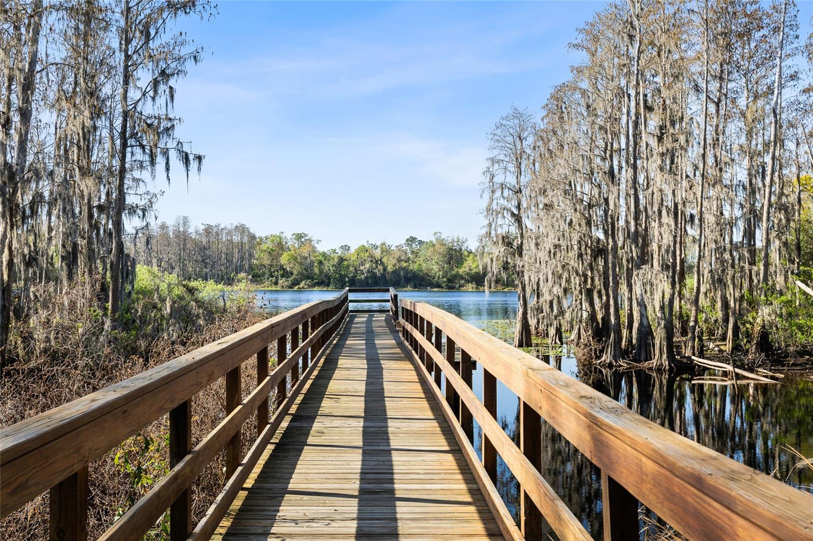 LAKEVIEW/CITRUS PK - Residential