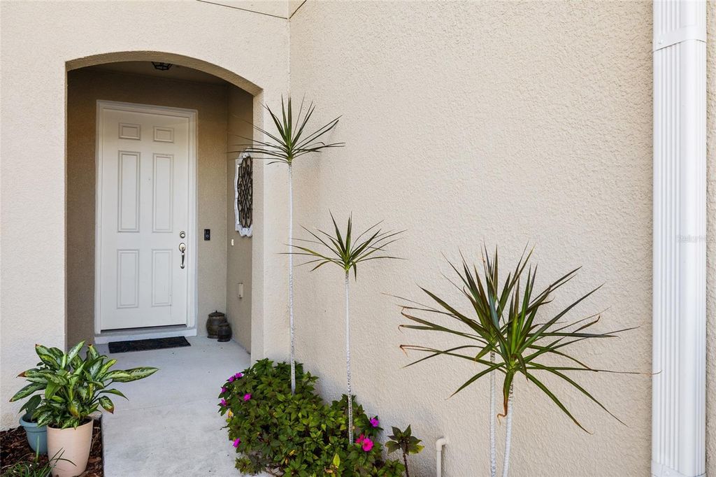 Photo of 14205 Damselfly Drive, Tampa, FL 33625 (MLS # TB8485604)