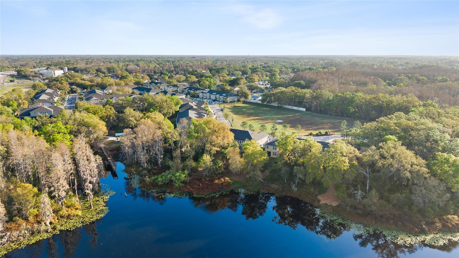 LAKEVIEW/CITRUS PK - Residential