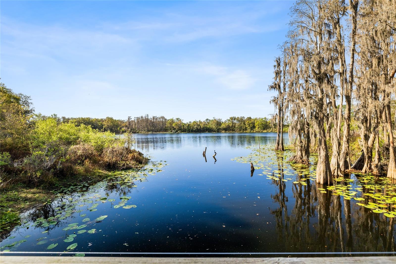 LAKEVIEW/CITRUS PK - Residential