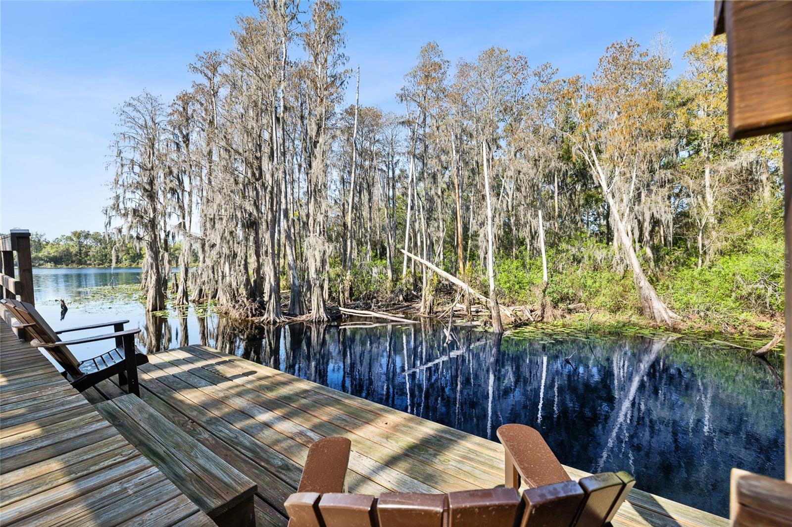 LAKEVIEW/CITRUS PK - Residential