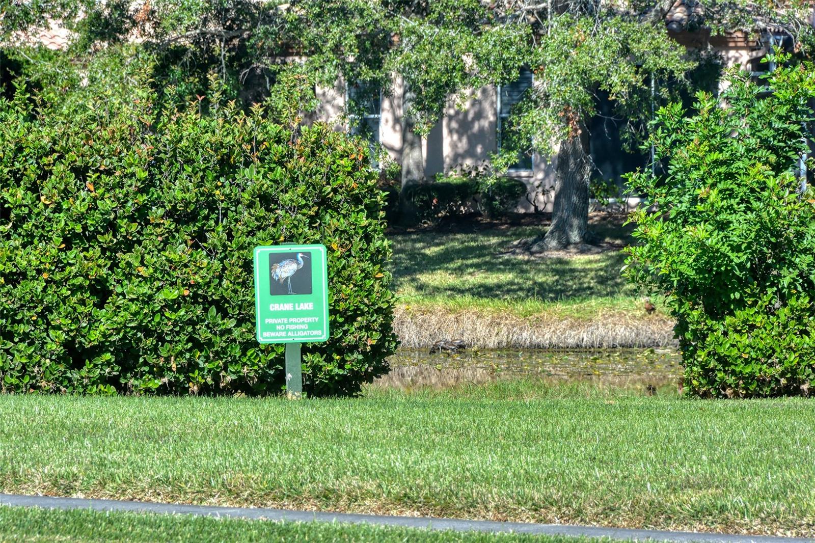 MIRA LAGO AT PALMER RANCH PH 2 - Residential