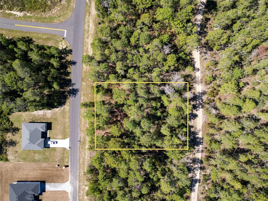 Beautiful half-acre vacant lot in a great Ocala location! This high and dry parcel is ready for you to build your dream home. Enjoy plenty of privacy with no rear neighbors, giving you a peaceful setting surrounded by nature. Conveniently located near I-75 and State Road 200, you’ll have easy access to shopping, dining, and all local amenities while still being tucked away in a quiet residential area. The lot offers ample space for your custom home, outdoor living, and future growth. No existing structures to remove, just bring your builder and vision. A fantastic opportunity to own land in one of Ocala’s most desirable and convenient areas.